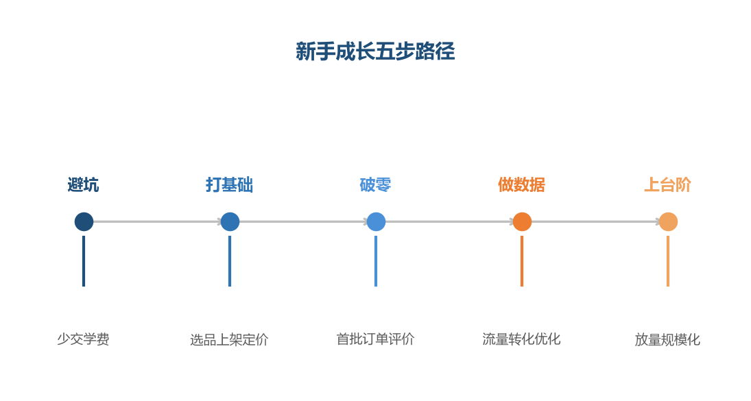 新手的成长路径清晰:先避坑、再打基础、逐步上台阶