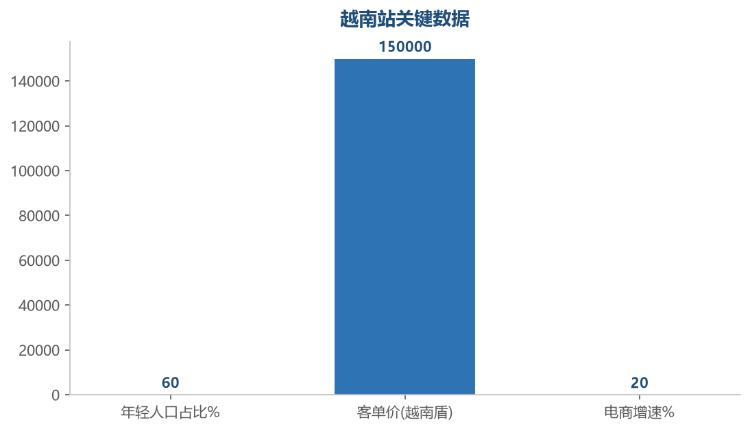 越南热销类目