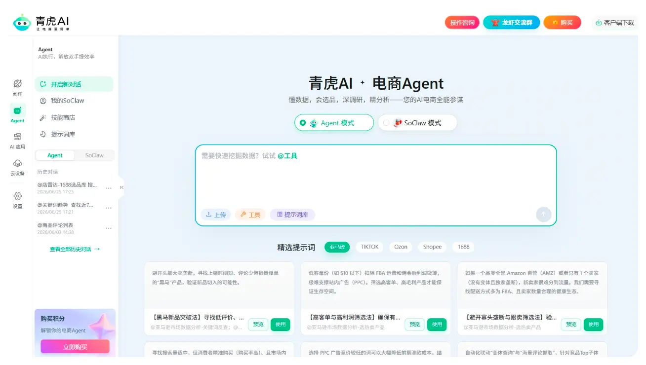 Agent落地页