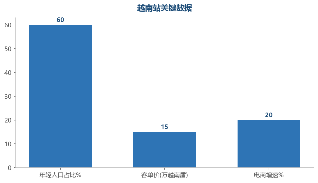 越南热销类目